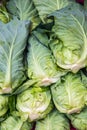 Group of fresh green vegetables Royalty Free Stock Photo