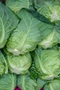 Group of fresh green vegetables Royalty Free Stock Photo