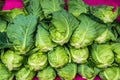 Group of fresh green vegetables Royalty Free Stock Photo