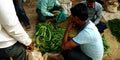 Fresh green vegetables goods stock kept in agriculture produce market