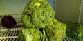 fresh green vegetables kept into frizzing chamber Royalty Free Stock Photo