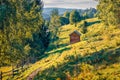Fresh green view of mountain valley. Splendid summer scene of Carpathian mountains, Snidavka village location, Ukraine Royalty Free Stock Photo
