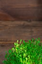 Fresh green watercress on textured old wooden background with copy space vertical