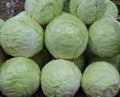 Fresh green and white cabbage on the farmers market