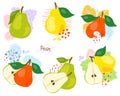 Fresh, green whole and halved pear, leaves, fruits on a white background. Doodle Royalty Free Stock Photo