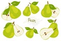Fresh, green whole and halved pear, leaves, fruits on a white background. Doodle Royalty Free Stock Photo