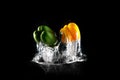 Fresh Green, Yellow Bell Peppers with Water Splash and Bubble Isolated. Group of Paprika of Healthy Copy Space. Colored Paprika