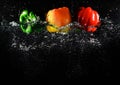 Fresh green, yellow and red bell peppers with water splash and bubble isolated. colorful copy space. Royalty Free Stock Photo