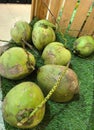Fresh Green Young Coconuts on Artificial Grass Display Royalty Free Stock Photo