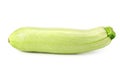 fresh green zucchini or marrow isolated on white background Royalty Free Stock Photo