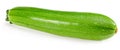 fresh green zucchini or marrow isolated on white background. full depth of field. clipping path Royalty Free Stock Photo