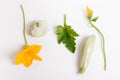 Fresh green zucchini with slice isolated on white background Royalty Free Stock Photo