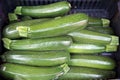 Fresh green zucchini squash in a box in the market Royalty Free Stock Photo