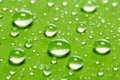 Fresh Greenery Macro View of Water Droplets on Leaf Surface Royalty Free Stock Photo