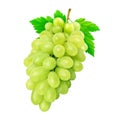Fresh Greenish Yellow Grapes Isolated White Background
