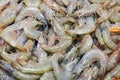 Fresh grey prawns for sale