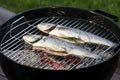 Fresh grilled fish barbeque, whole roasted bass