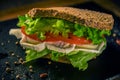 Fresh grilled rye sandwich with goat cheese, salad leaves, the toning. selective focus Royalty Free Stock Photo