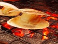 Grilled scallop Royalty Free Stock Photo