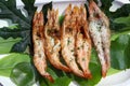 Fresh grilled shrimp is safe from formalin