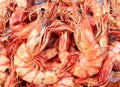 Fresh grilled shrimps served Royalty Free Stock Photo