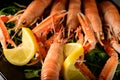 Fresh grilled shrimps served on a plate with arugula or rocket and llemon