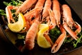 Fresh grilled shrimps served on a plate with arugula or rocket and llemon