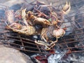 Fresh grilled small tasty rice field crabs with traditional charcoal stove