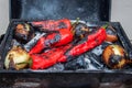 Fresh grilled vegetables on charcoal. peppers and onion roasting over a charcoal grill Royalty Free Stock Photo