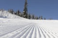 Fresh groomed snow on ski slope at ski resort on a sunny winter day. snow groomer tracks on a mountain ski piste. snowy spruces in