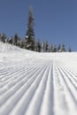 Fresh groomed snow on ski slope at ski resort on a sunny winter day. snow groomer tracks on a mountain ski piste. snowy spruces in