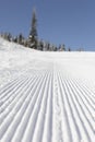 Fresh groomed snow on ski slope at ski resort on a sunny winter day. snow groomer tracks on a mountain ski piste. snowy spruces in