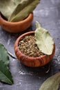 Fresh, ground and dried bay leaf Royalty Free Stock Photo