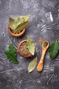 Fresh, ground and dried bay leaf Royalty Free Stock Photo