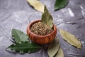 Fresh, ground and dried bay leaf Royalty Free Stock Photo