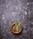 Fresh, ground and dried bay leaf Royalty Free Stock Photo