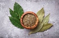 Fresh, ground and dried bay leaf Royalty Free Stock Photo