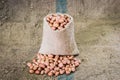 Fresh ground nuts Royalty Free Stock Photo