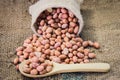Fresh ground nuts in spoon Royalty Free Stock Photo