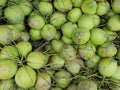 Fresh group coconut as a background.