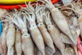 Fresh group of squid on ice, Fish local market stall with fresh seafood in Thailand Royalty Free Stock Photo