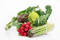 Fresh group of vegetables on white background