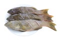 Fresh grouper fish (Leopard grouper) on dish for the ingredient Royalty Free Stock Photo