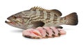 Fresh Grouper Fish and Slices on White Background Royalty Free Stock Photo