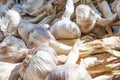 Fresh grown garlic spice market in France. Royalty Free Stock Photo