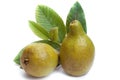 Fresh Guava fruit with leaves