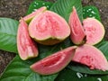 Fresh guava fruit that is ripe in slices is ready to eat Royalty Free Stock Photo