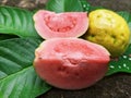 Fresh guava fruit that is ripe in slices is ready to eat Royalty Free Stock Photo