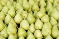 Fresh guava fruits