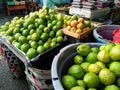 Fresh Guavas at the morning traditional market